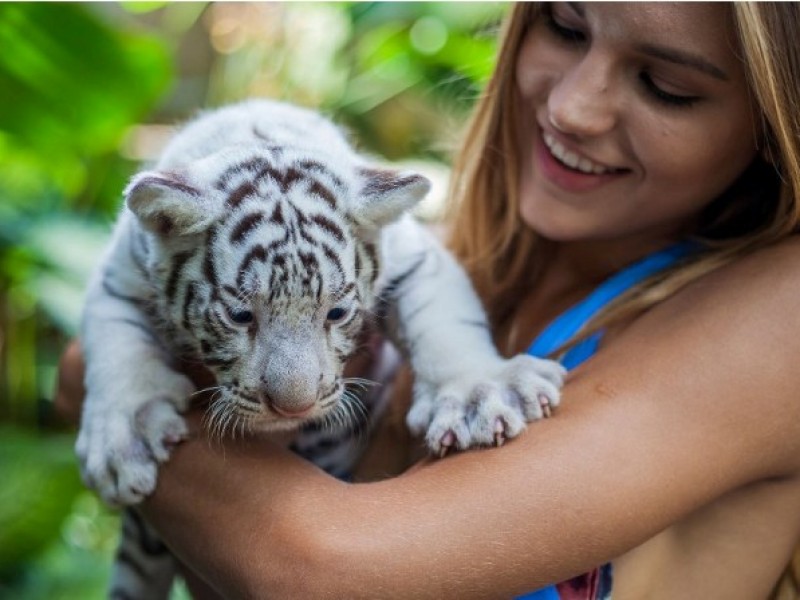 MG_3537-800x600 MG_3537-800x600