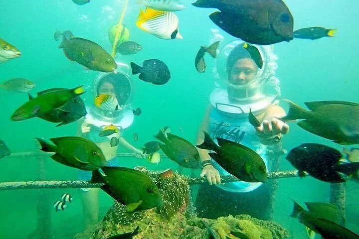 ff9009b6-bec4-400f-93d0-ccf429e3be2d-1661872463230-77604cbfe7198abd2ad452b215234118 ff9009b6-bec4-400f-93d0-ccf429e3be2d-1661872463230-77604cbfe7198abd2ad452b215234118